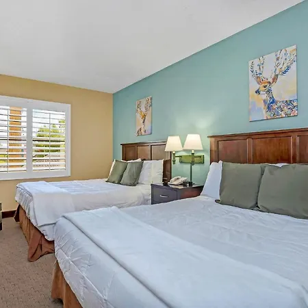 One Bedroom With Two Queen Beds - Near Disney - Pool And Hot Tub!
